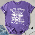 A Little Crazy T-shirt
